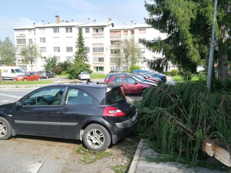 jakceva02.jpg