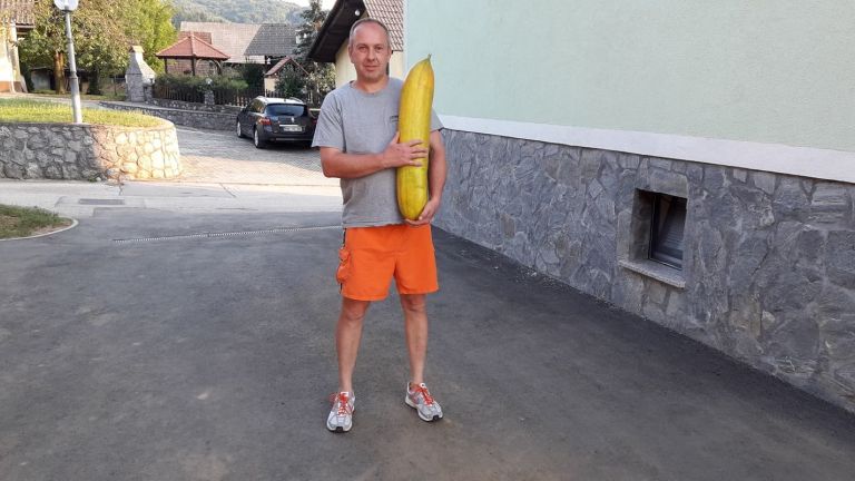 kumara2.jpg