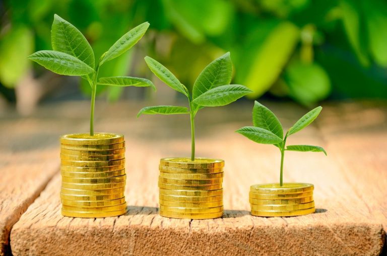 investicija, denar, kovanci, naložba, vlaganje.jpg