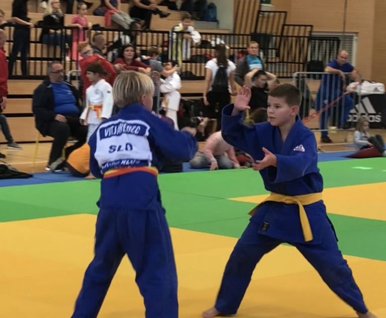 _zzzzjudo__2_.jpg