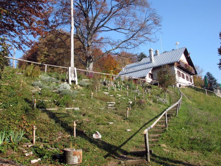 kostanjev_piknik_na_mg_2018_pd_in_mo_01.jpg