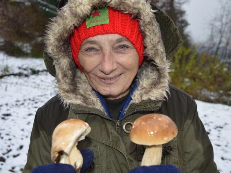_zzzjurcki__1_.jpg