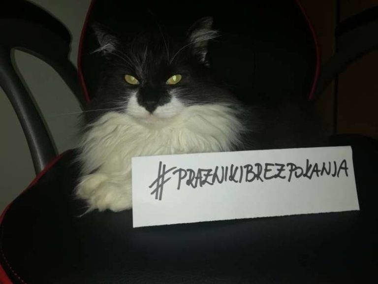 _dorotejin_archie_je_za_praznike_brez_pokanja.jpg