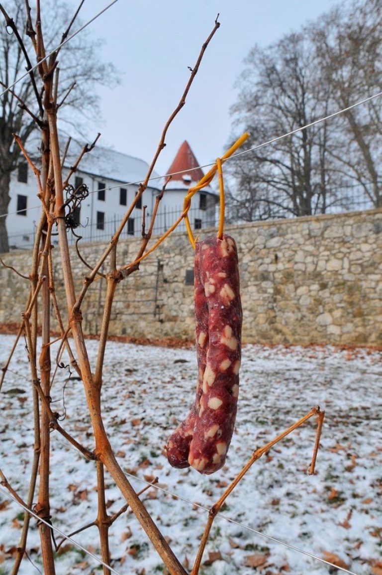 _fot4704_000.jpg