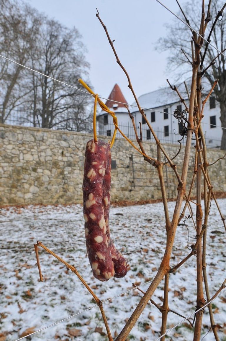 _fot4704_000.jpg