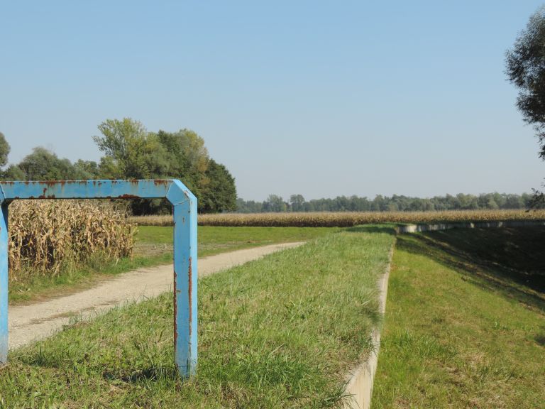 3b9042e36753ca36303ccee4b822ed18.jpeg