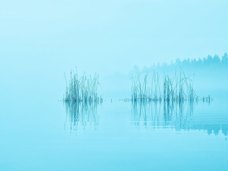 7a7fb8f00c355927f8d935a445164c33.jpeg