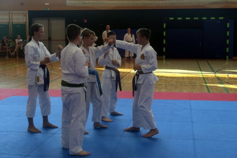 _zzzzzzzzzkarate__10_.jpg
