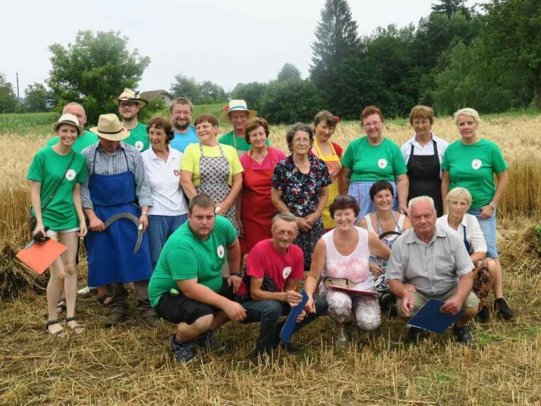 zetev_psenice20.jpg