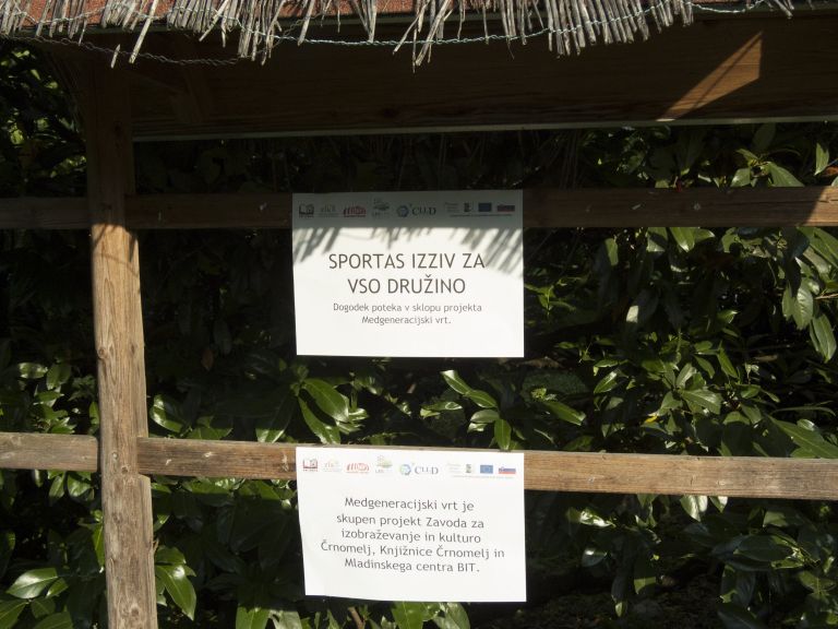 vrt__02_.jpg