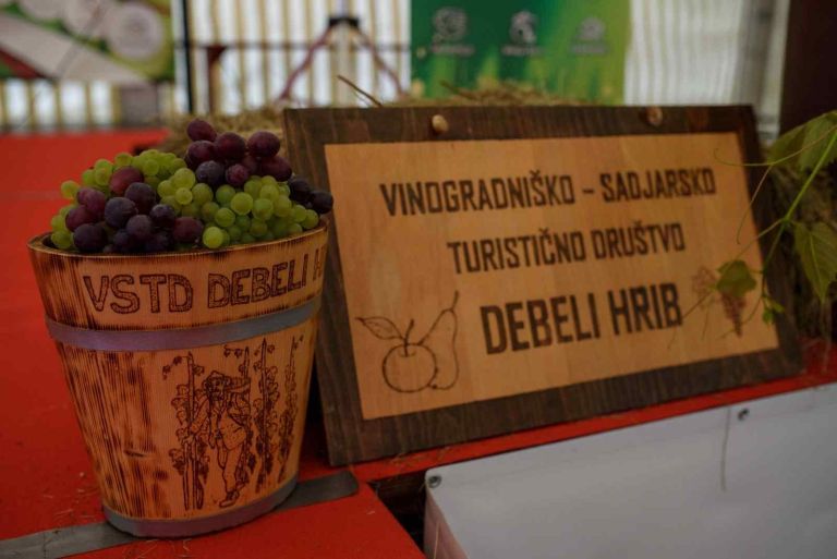 debeli_hrib03.jpg