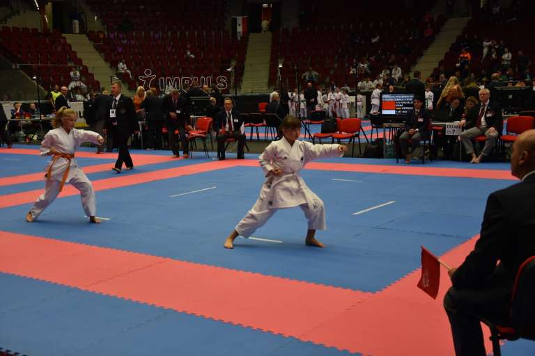 _zzzzzzzzkarate__10_.jpg