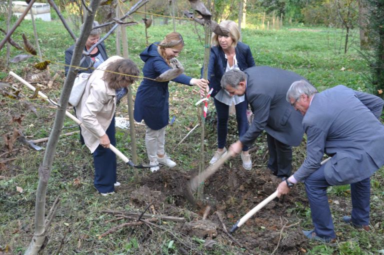 grajska_pot01.jpg