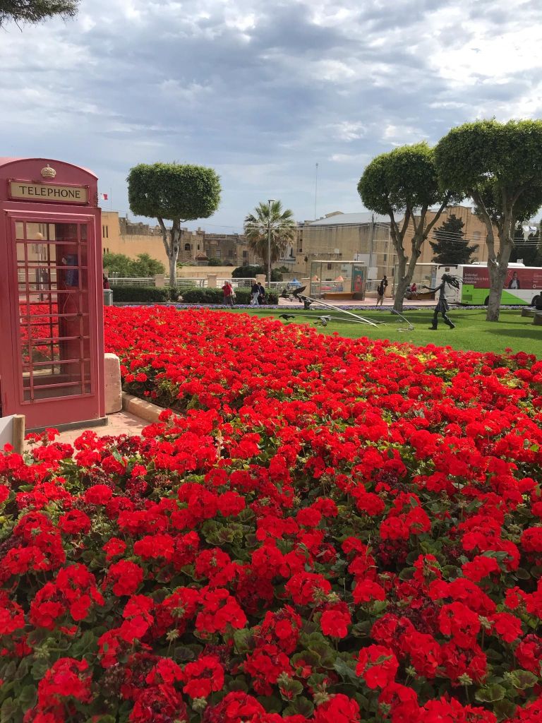 polona-budja, otok-gozo