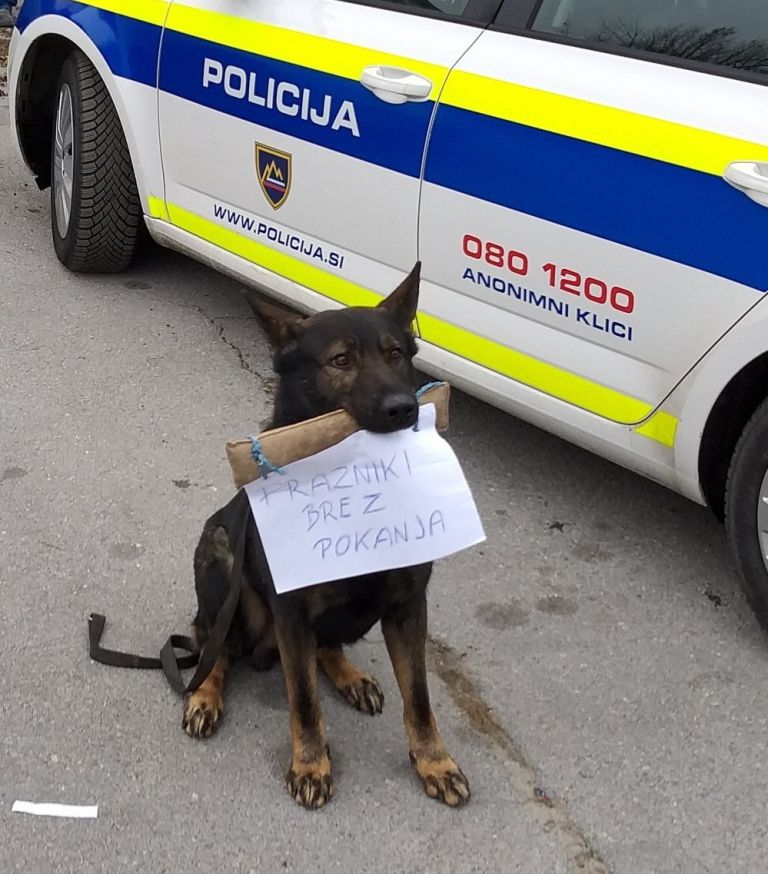 foto_4.jpg