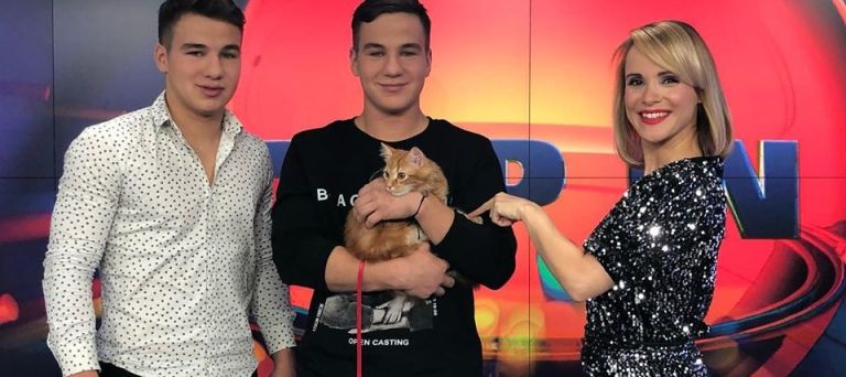 tom na pop tv.jpg