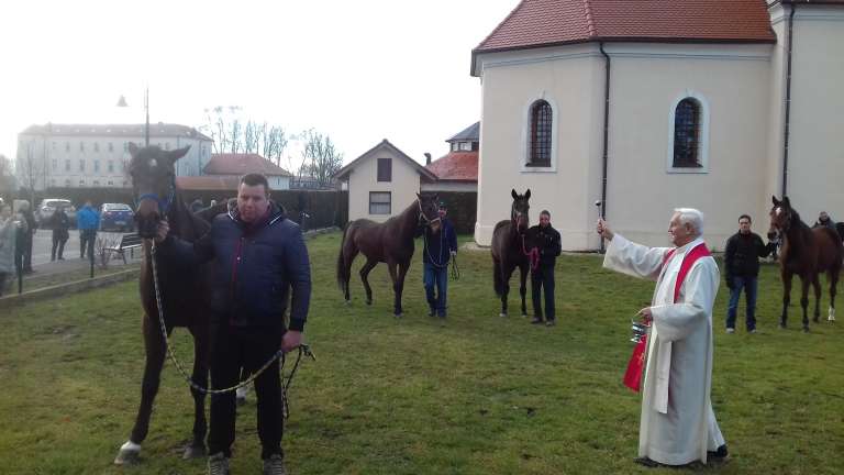 blagoslov-konj, sveti-štefan, veržej