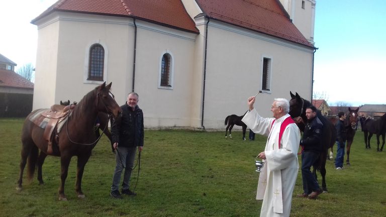 blagoslov-konj, sveti-štefan, veržej