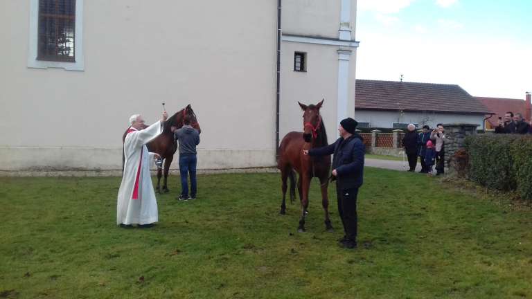 blagoslov-konj, sveti-štefan, veržej