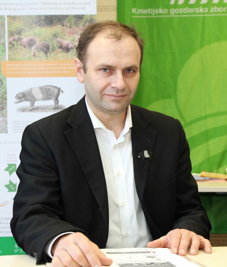 krskopoljski_prasic04.jpg