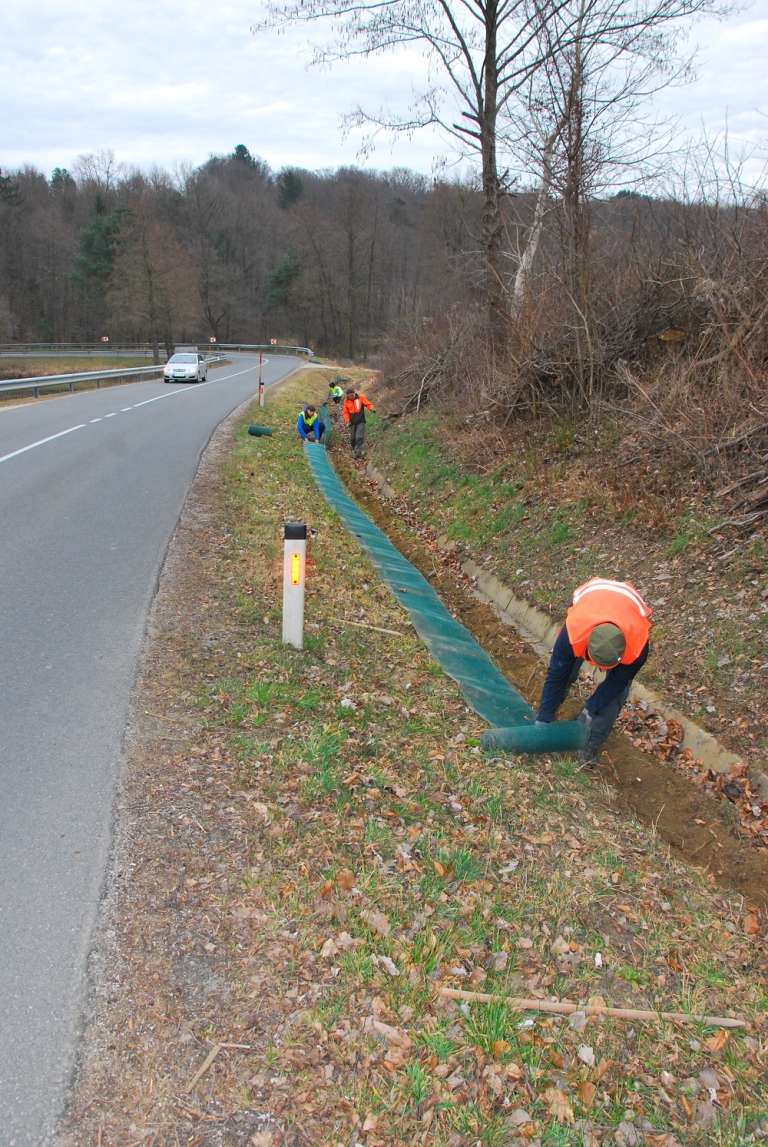 dvoživke, prenašanje-dvoživk, zaščitne-mreže, blaguš