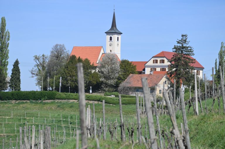 jeruzalem, vinograd, kmetijstvo,SIMBOL