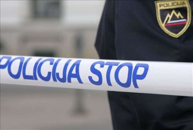 _zzzzzzzzpolicija_opozarja.jpg