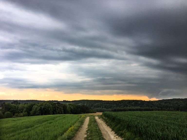 nebo, markovci