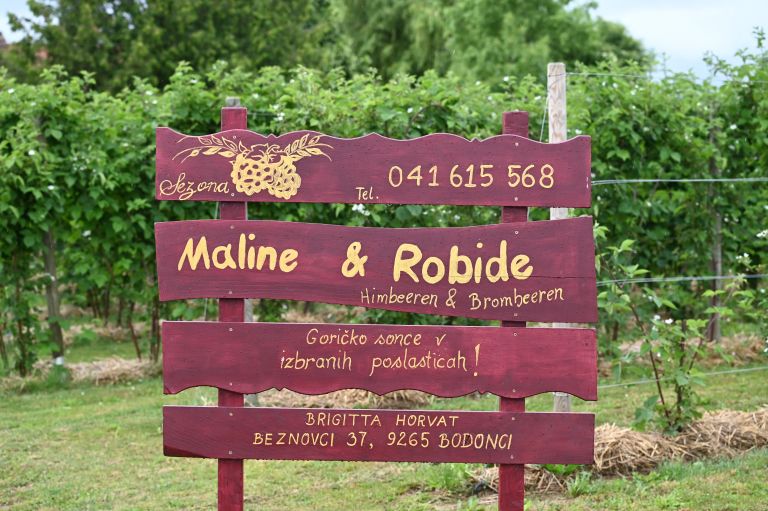 beznovci, sezona, brigitta-horvat-in-srečko-pravdič.maline, robide, žganje