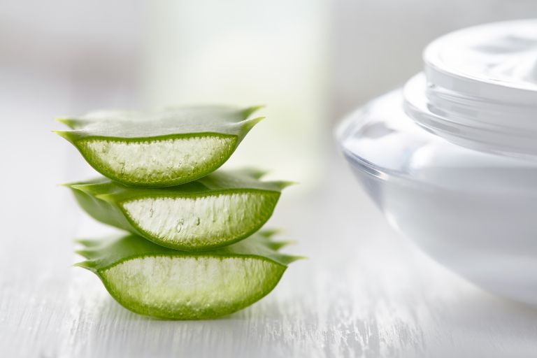 Aloe vera