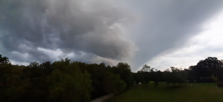 20200701_202034 aa.jpg
