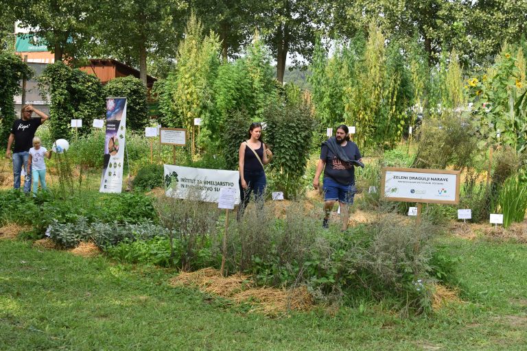 festival-dogodivščin, gornja-radgona