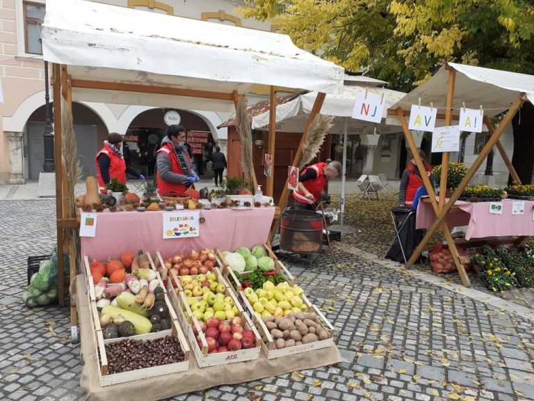 stojnica_zelemenjava.jpg