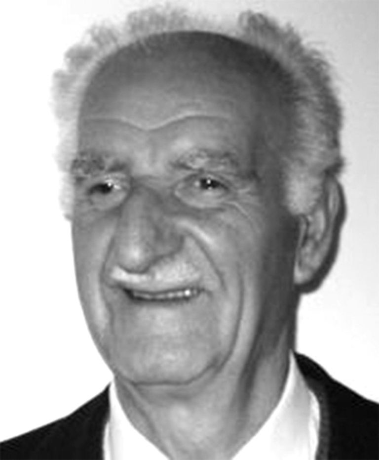 lokalno_si_rajko_vrlinic.jpg
