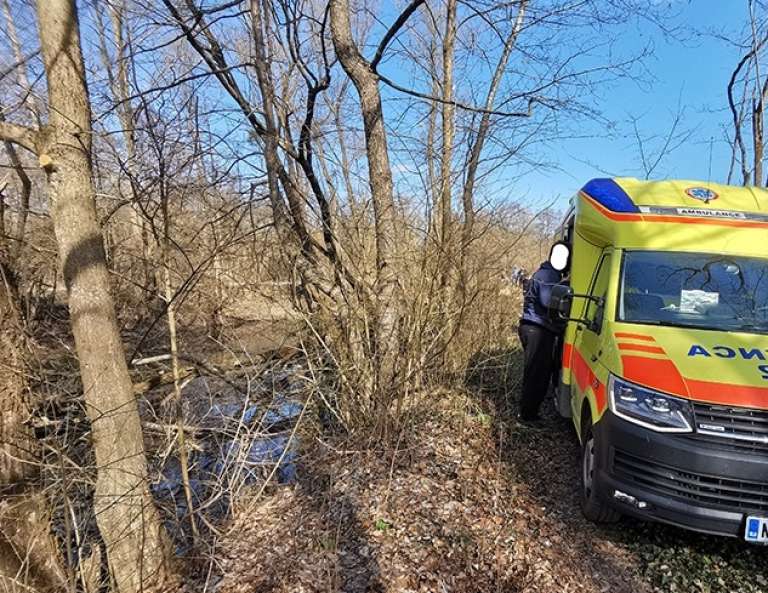 nesreča, gozd, policija