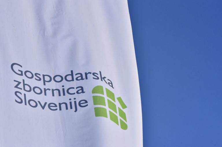 Gospodarska zbornica Slovenije, gzs