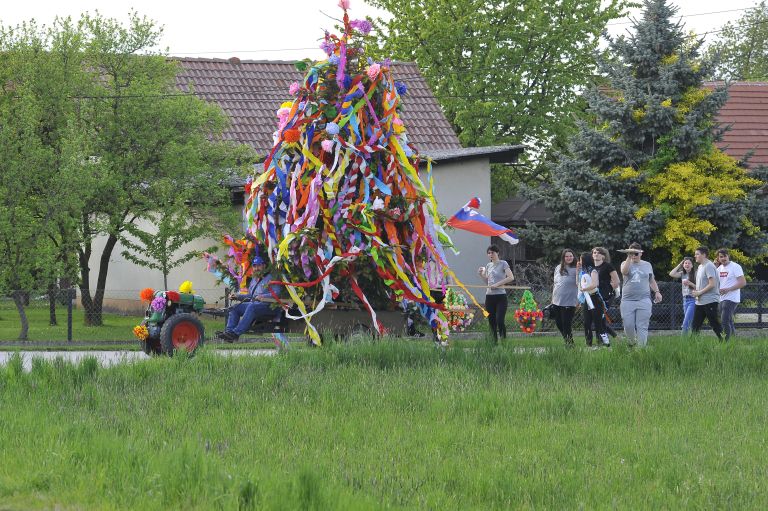 gančani, postavitev-majoša