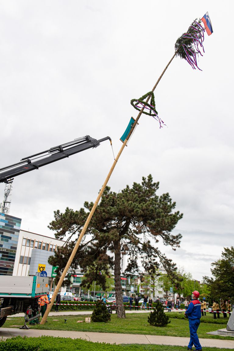 mlaj, postavljanje-mlaja, trg-zmage, murska-sobota