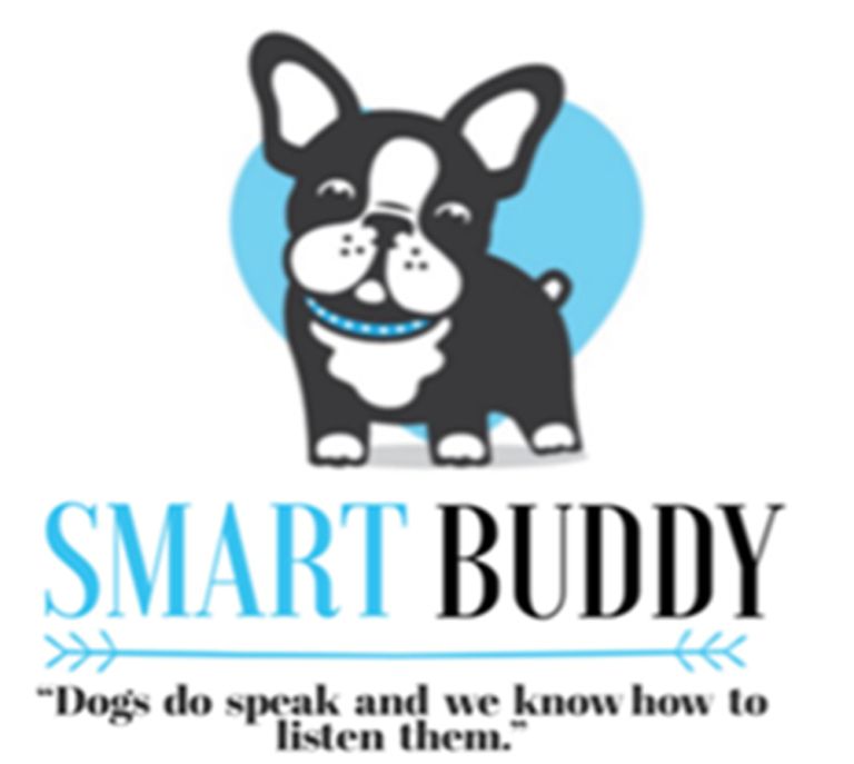 Smart Buddy, d.d.
