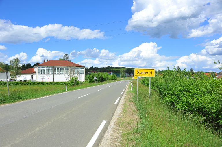 šalovci