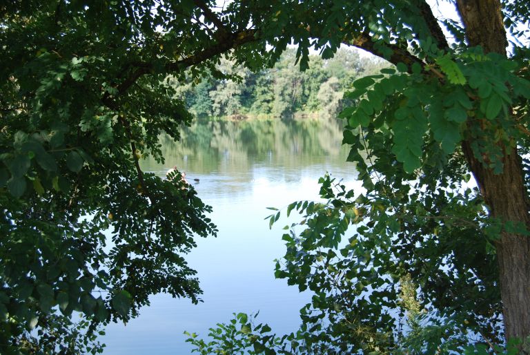 DSC_0084.JPG