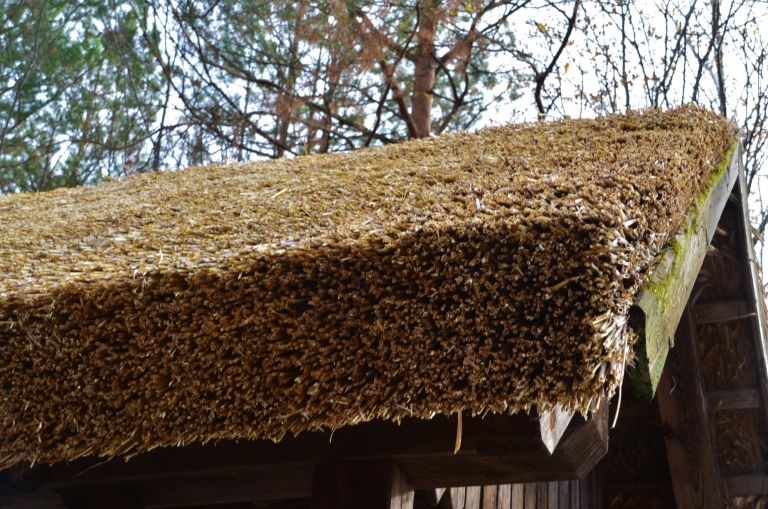 slamokrovstvo, nadstrešnice, krajinski-park-goričko
