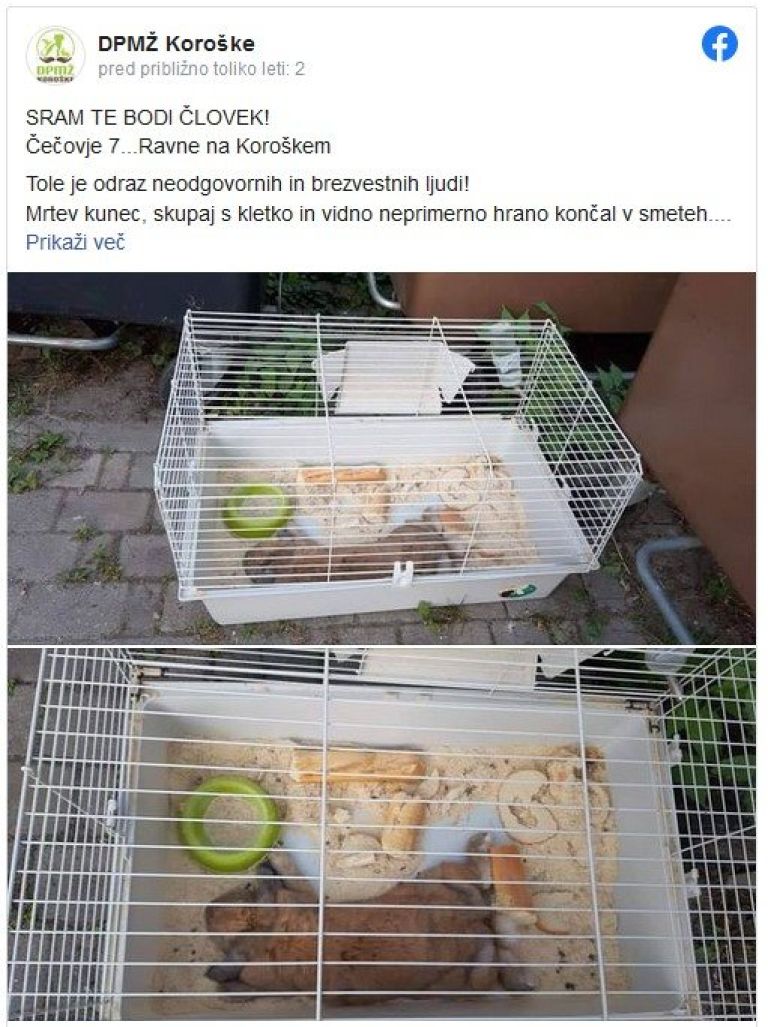 _zzzzzkunci__9_.jpg
