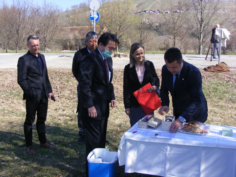 japonska-češnja, občina-lendava