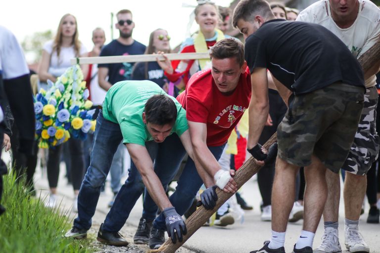 majoš, gančani, gančki-majoš, mlaj, prvi-maj, postavljanje-mlaja