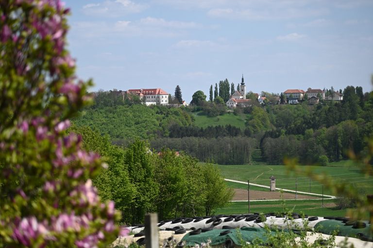 kmetja-smrke, negova, mlečni-izdelki