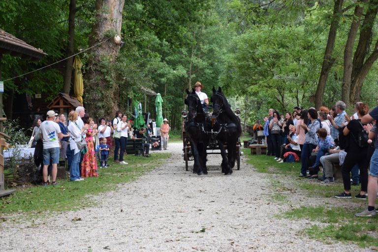 feri-lainšček, murska-saga, predstavitev, otok-ljubezni, ižakovci