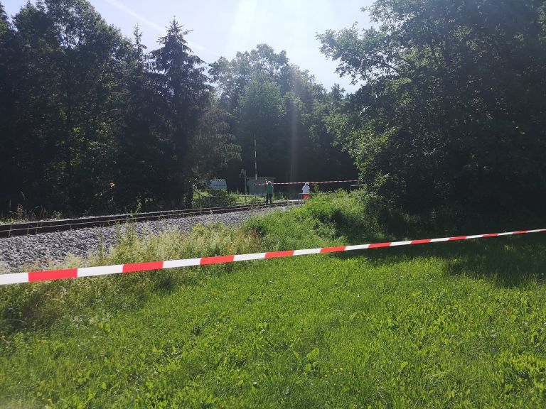 _vlak__1_.jpg