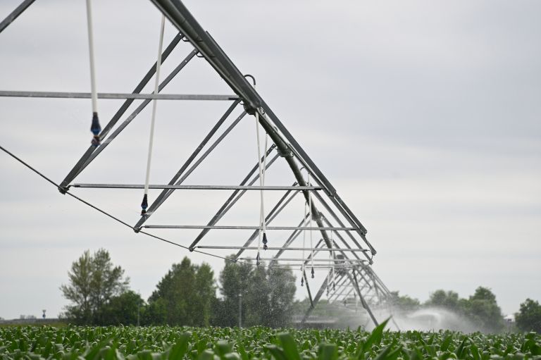 namakalni-sistem, koruza, kmetijstvo