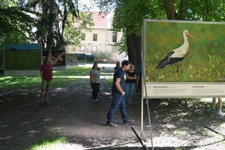 goričko, goričko.-znate-ka?-lejpo-je!, kp-goričko, narava, rastlinstvo, živalstvo